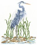 (image for) Blue Heron